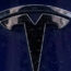 A Tesla electric vehicle emblem