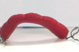 Scientists develop stretchy robot worms