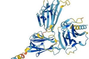 DeepMind research predicts structure of almost every known protein