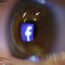 Facebook Stock