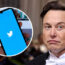 Elon Musk has warned staff bankruptcy could be on the cards