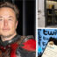 Musk's brief stint as Twitter boss has been tumultuous