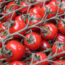 Tomatoes on the vine