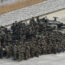 US and South Korean soldiers gather before a combined live-fire exercise in Pocheon, South Korea