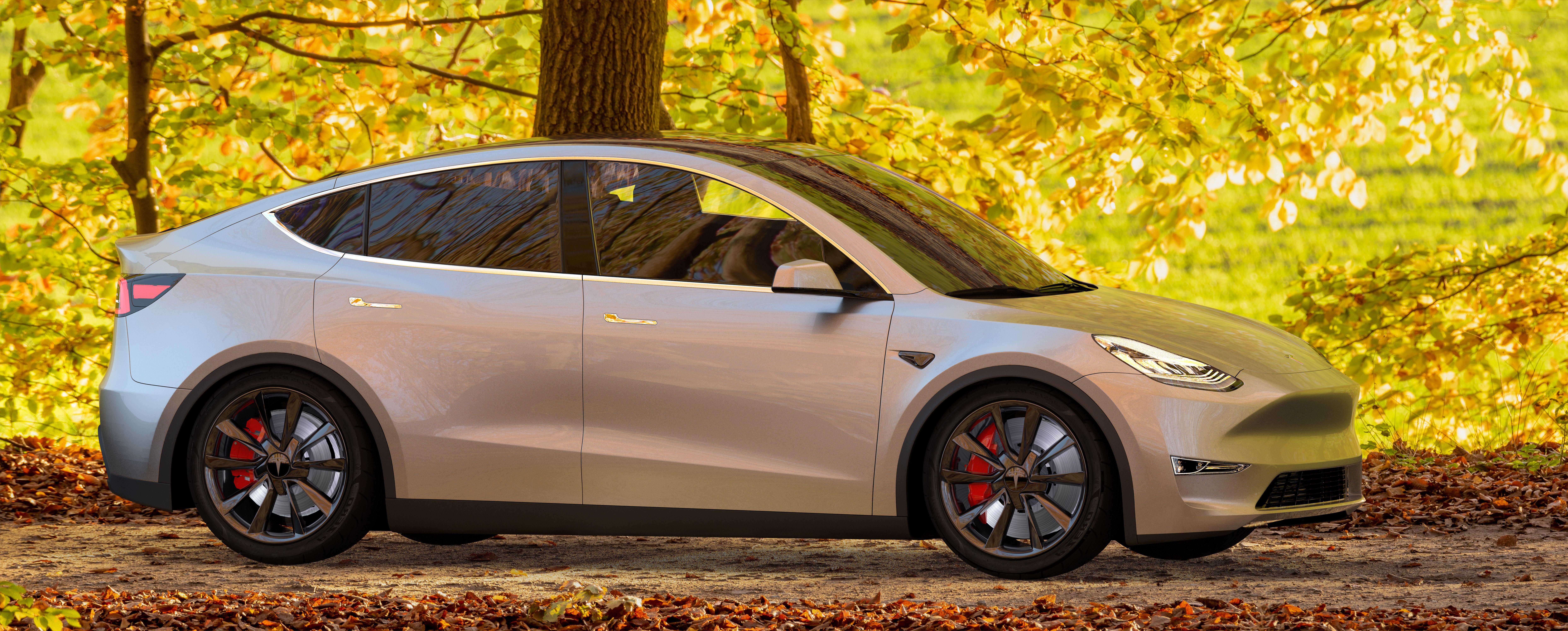 e3e9fe5b-d387-4828-b969-7642bcd0a843 Tesla Model Y