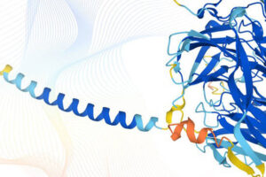 New scientific database ‘could revolutionise the way diseases are treated’