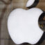 The Apple logo