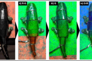 Soft robot inspired by the chameleon can mimic its surroundings