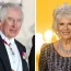 King Charles landed in Germany on Wednesday for his first state visit as monarch