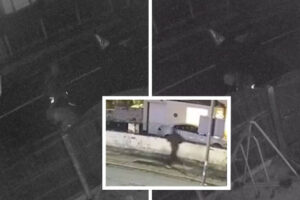 Olivia Pratt-Korbel’s killer seen fleeing scene after shooting nine-year-old dead as he’s found guilty of murder