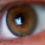 Twitter logo