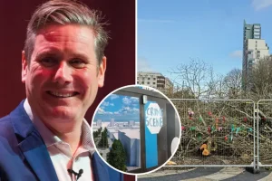 Labour takes control of Plymouth council – after Conservative administration ‘tree massacre’ in city centre