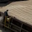 Grain