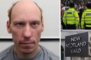 Met officers admit relying on luck when solving murders as ‘lack of curiosity’ hampers search for serial killers