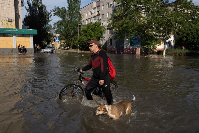 A local resident with a bike and a dog walks along the street past the buildings in Kherson, Ukraine, Tuesday, Jun 6, 2023 which were flooded after the Kakhovka dam was blown up overnight
