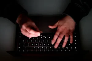 Woodland Trust victim of ‘sophisticated, high-level cyber-incident’