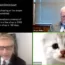 Screenshot of zoom call showing lawyer as a cat