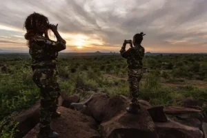 Smartphones used to create ‘virtual rangers’ to deter poachers