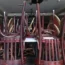 Restaurant insolvencies study
