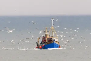 Fisheries deal will be worth £128m to Scotland as North Sea quotas increase