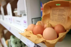 How everyday food items have risen in price in the past 12 months