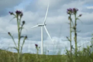 Turbines set new British wind power record