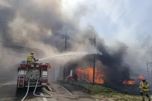 Hundreds flee wildfire in coastal city in South Korea