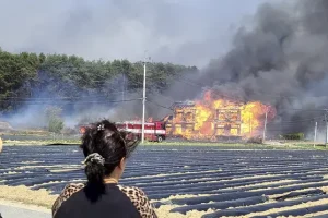 One dead and hundreds evacuated after wildfire in South Korean city