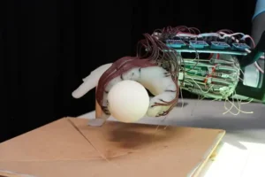 Scientists design robot hand that can grasp objects based on wrist movement