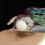 Researchers have designed a low-cost, energy-efficient robotic hand that can grasp a range of objects – and not drop them – using just the movement of its wrist and the feeling in its ‘skin’