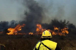 Firefighters tackle France’s first major forest blaze of 2023