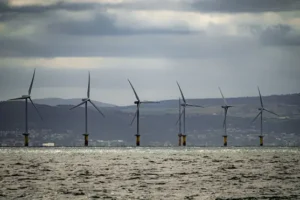 Government considers proposals to make renewables greener and more innovative