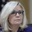Books-Liz Cheney