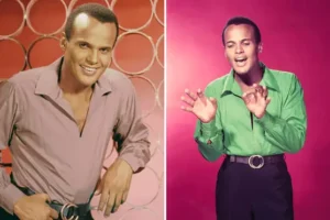 Harry Belafonte, Calypso and civil rights activist, dies aged 96
