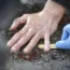 A police officer unglues the hand of a climate activist from the road in front of the Victory Column, Berlin