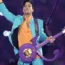 Prince perfoming