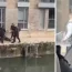 Police arrested a man and shot dead two dogs after a stand off in Tower Hamlets