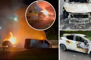 Dozen vehicles torched as police investigate string of arson attacks across Dorset