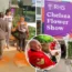 Just Stop Oil protesters targeted the Chelsea Flower Show in London on Thursday morning