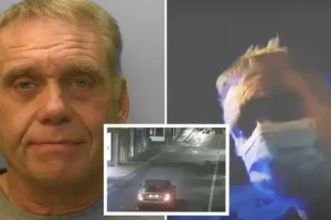 ‘Fake taxi driver’ tried to rape two women and stalked the streets at night armed with Viagra and latex gloves