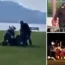 Tributes of flowers and teddy bears were left at the scene of an attack on six victims in Annecy, France on Thursday.