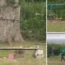 Solaine Thornton was shot dead while playing on the swings