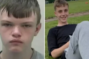 ‘Even getting up in the morning is painful’: Teenager, 15, who killed 14-year-old with steak knife jailed for 12 years