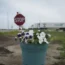 Canada Highway Crash site