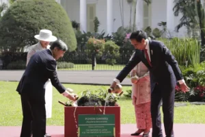 Japanese Emperor meets Indonesian leader on third day of official visit