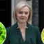 Liz Truss resigned after 44 days as prime minister following the failure of her government's mini-budget