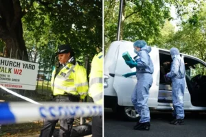 Murder probe after teenager, 17, stabbed to death in Paddington