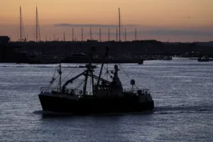 AI fishing net identifies and sorts fish to prevent discard deaths