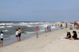 Possible shark attacks prompt heightened patrols at New York’s Long Island