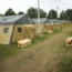 The Belarusian army camp